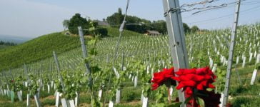 Antônio Augusto de Souza Coelho