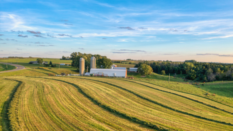 Tecnologia e rentabilidade — Aldo Vendramin mostra como silos inteligentes otimizam custos e aumentam lucros no agro.