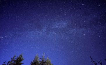Meteoro riscando o céu estrelado acima da silhueta de uma floresta.