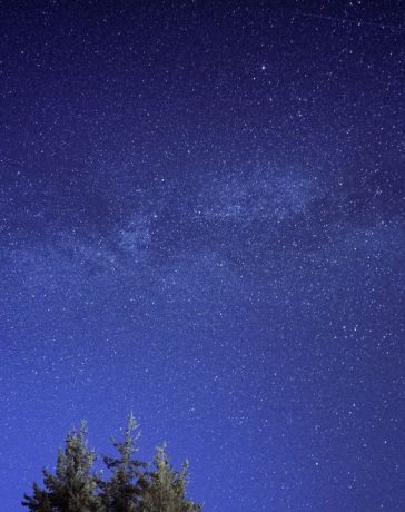 Meteoro riscando o céu estrelado acima da silhueta de uma floresta.