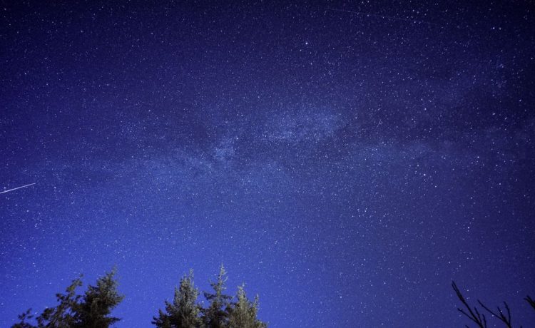 Meteoro riscando o céu estrelado acima da silhueta de uma floresta.