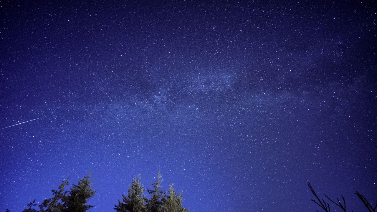 Meteoro riscando o céu estrelado acima da silhueta de uma floresta.